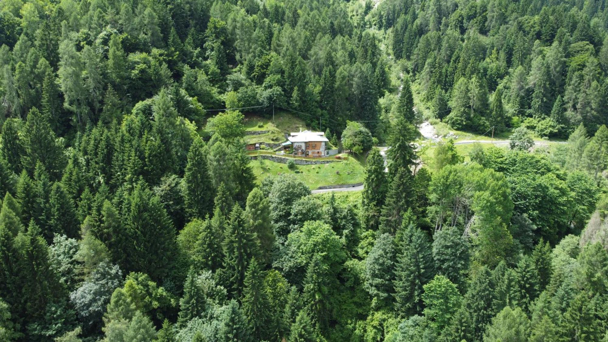 Maso Moretto Pieve Tesino Bagian luar foto